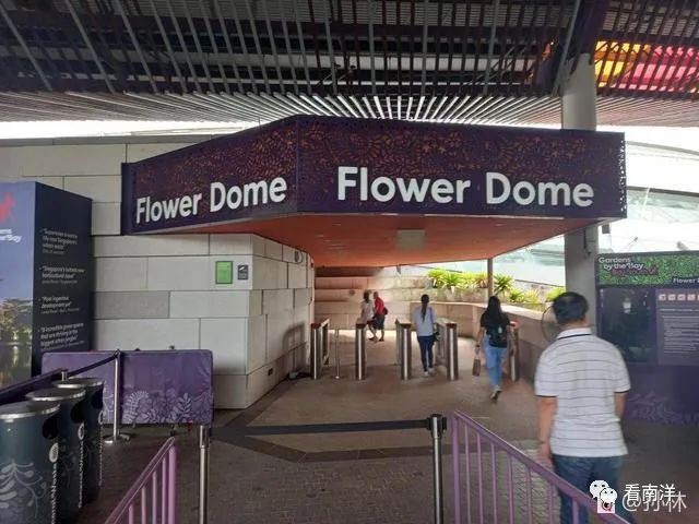 红树林、荷花池、水族缸...免费游滨海湾花园可以看这么多