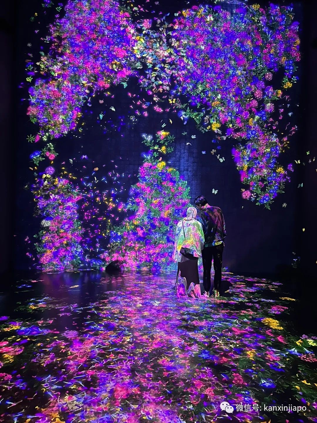 滨海湾的“白莲花” ——世界首个艺术科学相结合的博物馆