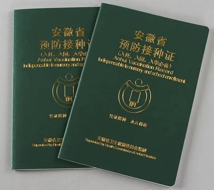 读新加坡国际学校必备什么申请材料,看这篇就够了!
