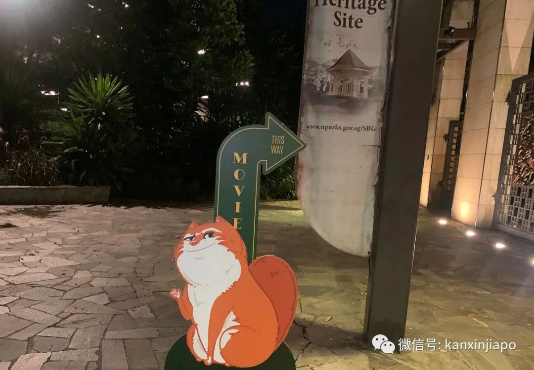 在新加坡植物园看露天电影,是最浪漫迷人的事儿!