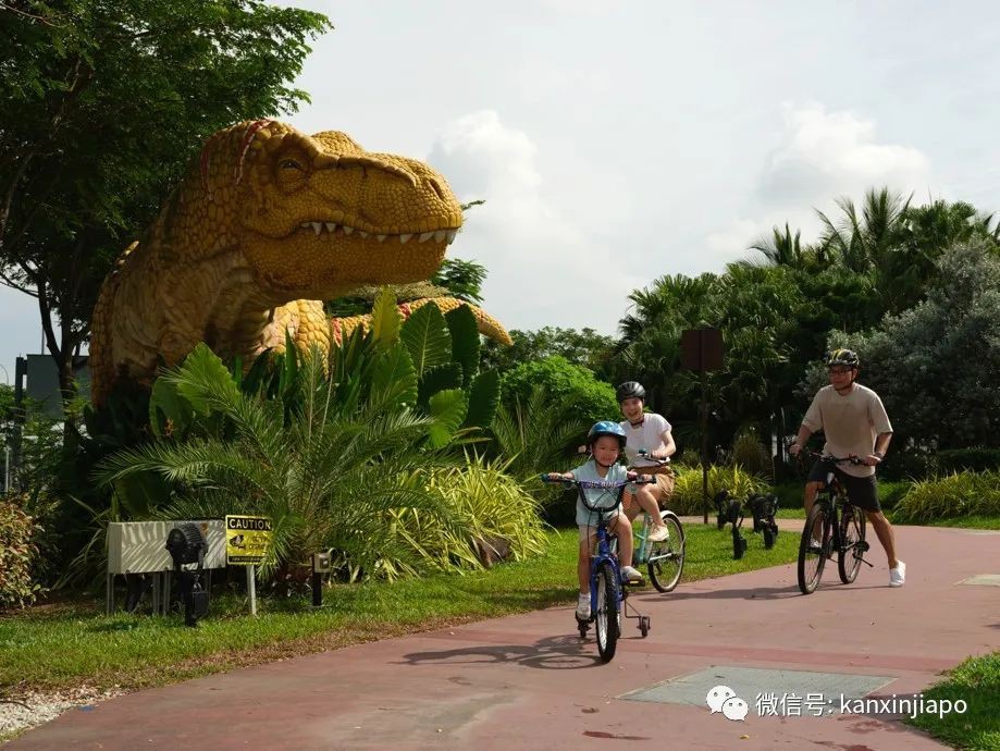 樟宜机场可免费租用脚踏车两小时!体验侏罗纪步道、东海岸公园