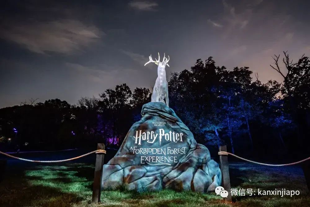 哈迷注意! 哈利波特禁忌森林之旅要来新加坡啦