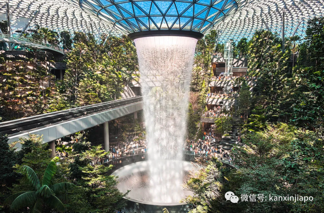 说走就走!在新加坡樟宜机场开盲盒,免费送你飞到6个神秘目的地