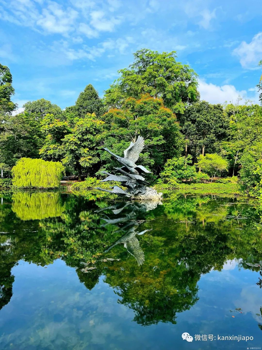 在新加坡植物园散步,享受热带森林的松弛下午