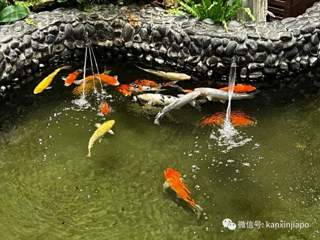 逛过樟宜机场重开的T2航站楼，才会发现的这些细节