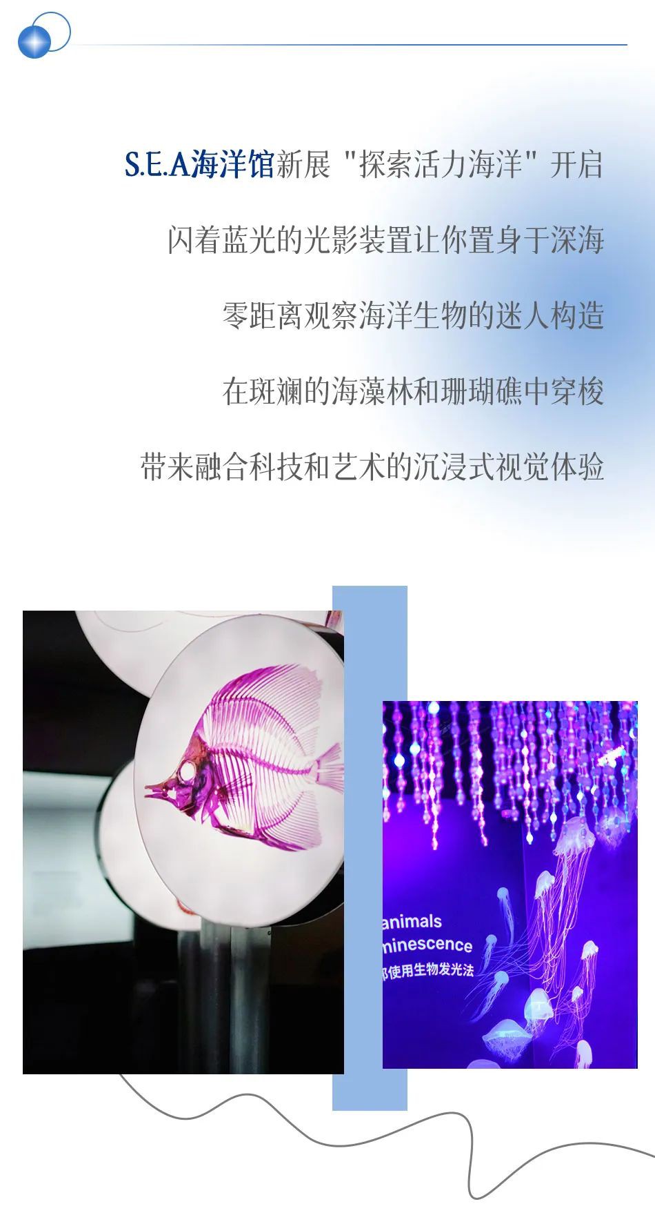 跟着王嘉尔抄作业，名胜世界海洋之旅这样玩