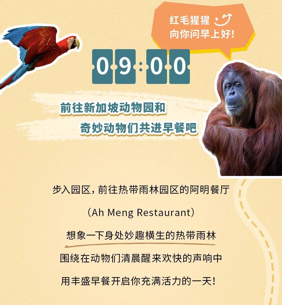 全球第三的新加坡动物园里有什么？