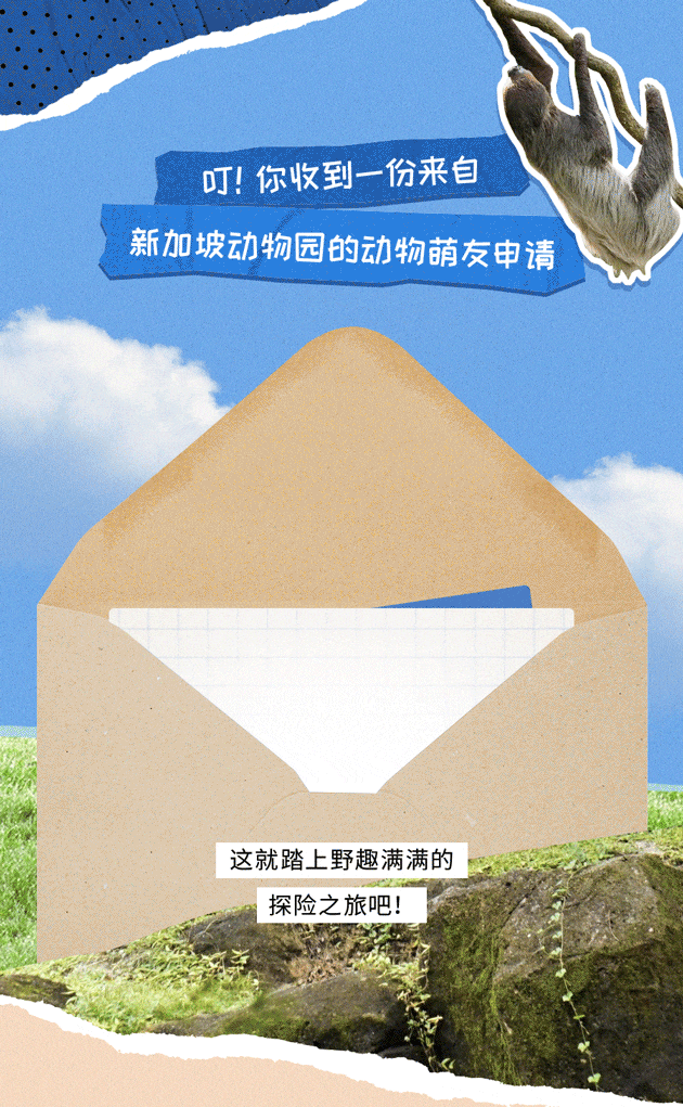 全球第三的新加坡动物园里有什么？