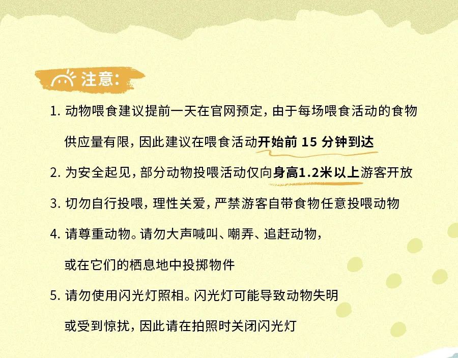 全球第三的新加坡动物园里有什么？
