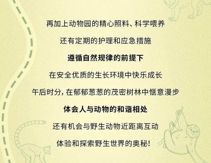 全球第三的新加坡动物园里有什么？
