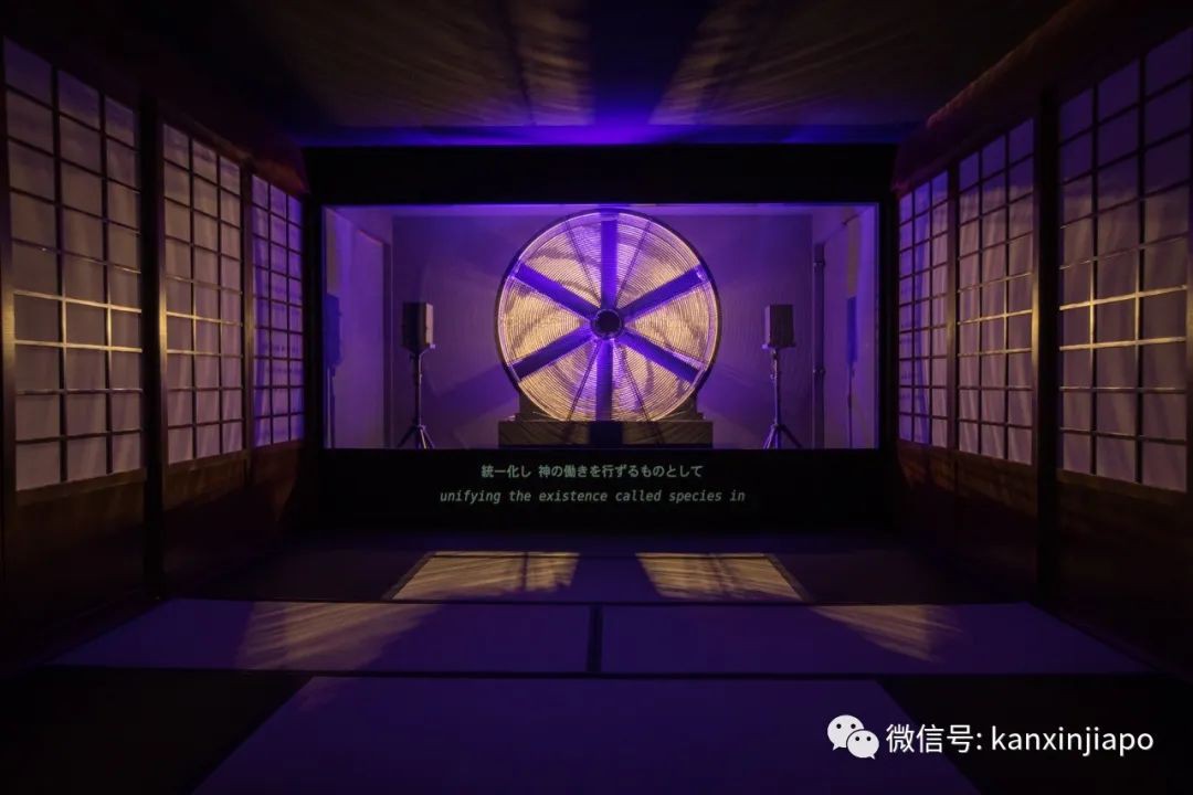 新加坡美术馆新展,以老虎的迁移讲述东南亚的编年史