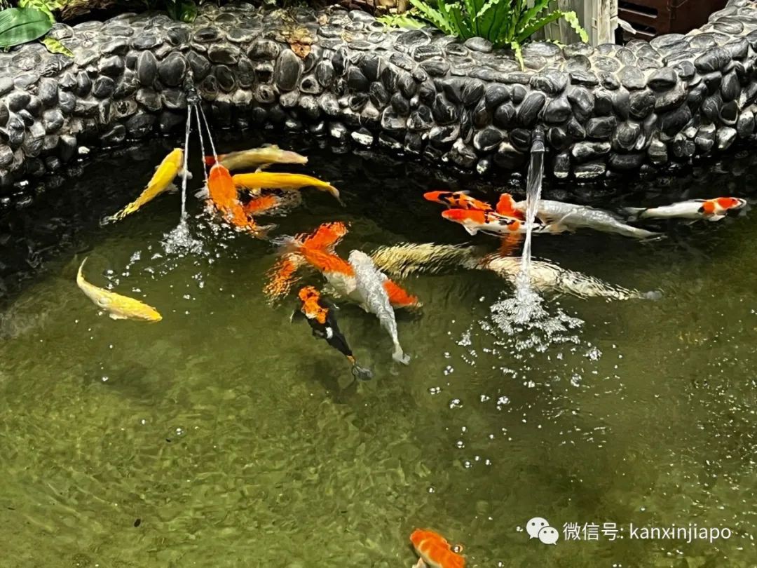 逛过樟宜机场重开的T2航站楼，才会发现的这些细节