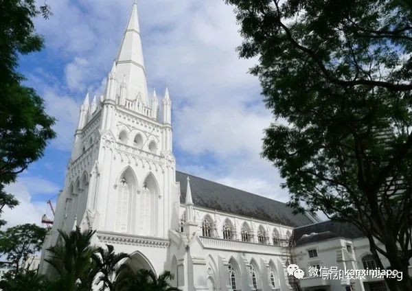 从抖音学“钓鱼秘术”，三中国男子专程来新加坡偷香油钱被捕，入狱7个月