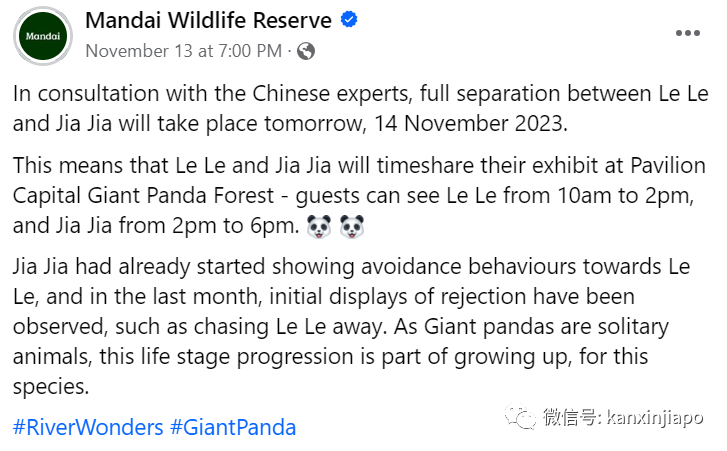 熊猫叻叻快回中国了！母亲嘉嘉疑有分离焦虑症，会客时间将错峰调整