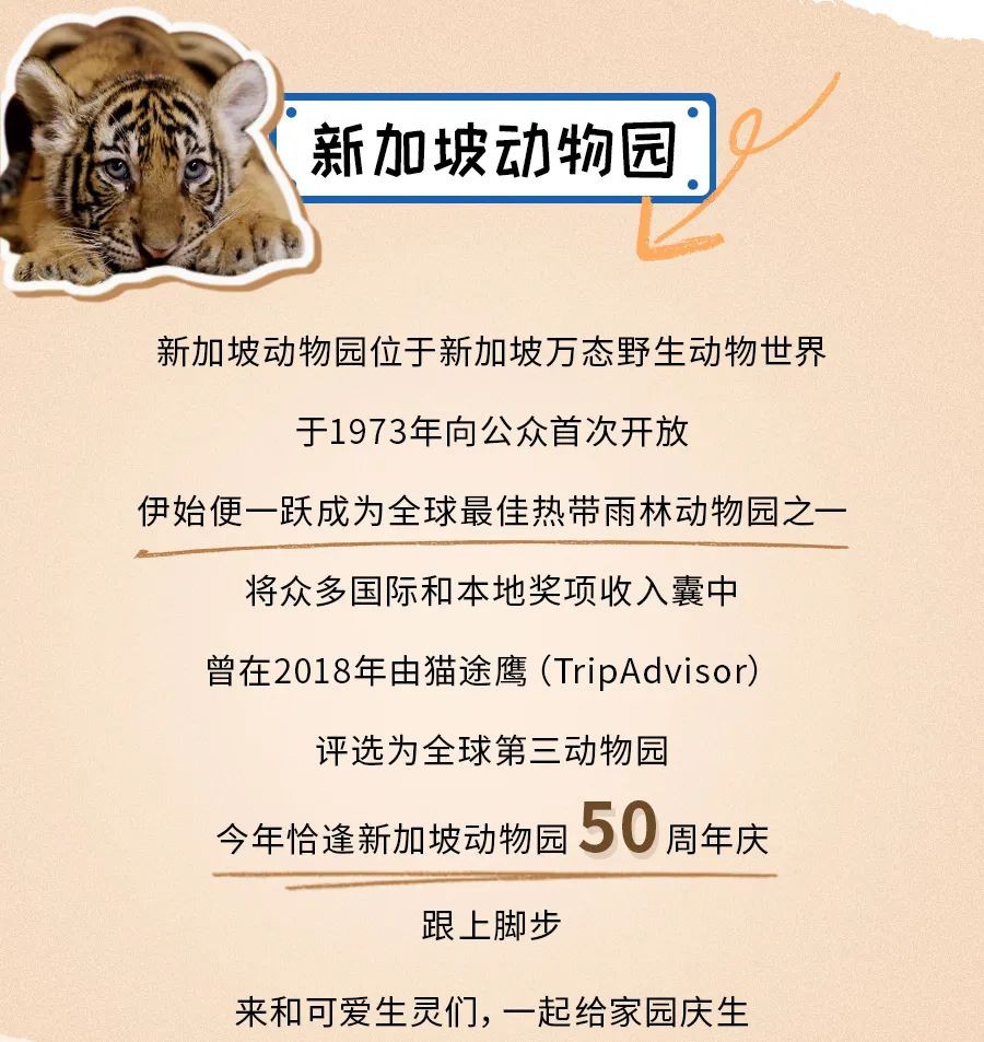 全球第三的新加坡动物园里有什么？