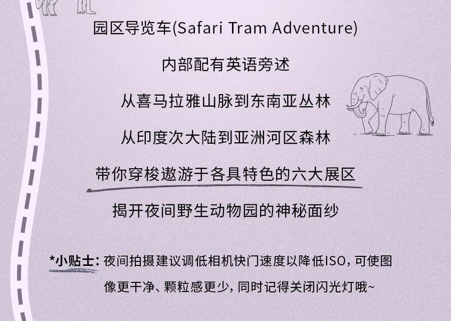 全球第三的新加坡动物园里有什么？