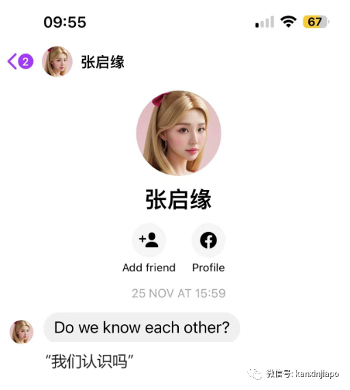 独家 | 电诈大揭底,连李显龙、新加坡和中国央媒都躺枪……