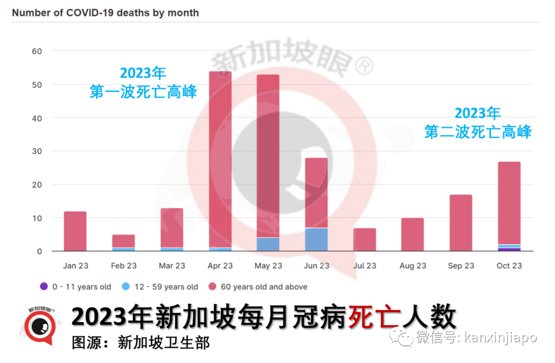 出现第二波疫情+儿童冠病死亡，新加坡关注儿童呼吸道疾病情况