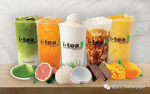 无限回购!新加坡最全人气奶茶攻略,哪家是你冰冰凉凉的最爱?