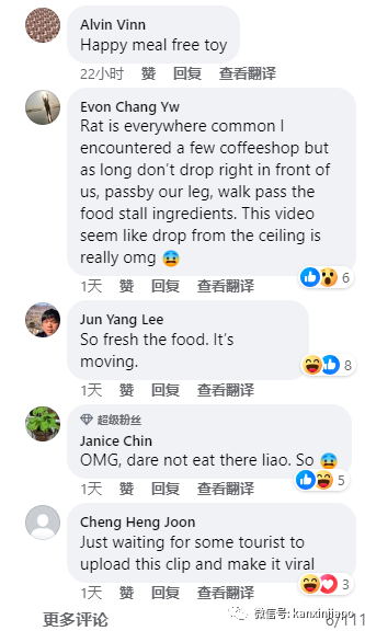 乌节路著名购物中心食阁天花板掉下老鼠，网友评论：吓死！这是要加餐吗？