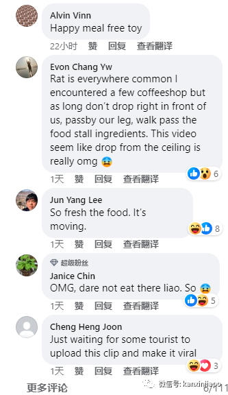 乌节路著名购物中心食阁天花板掉下老鼠,网友评论:吓死!这是要加餐吗?
