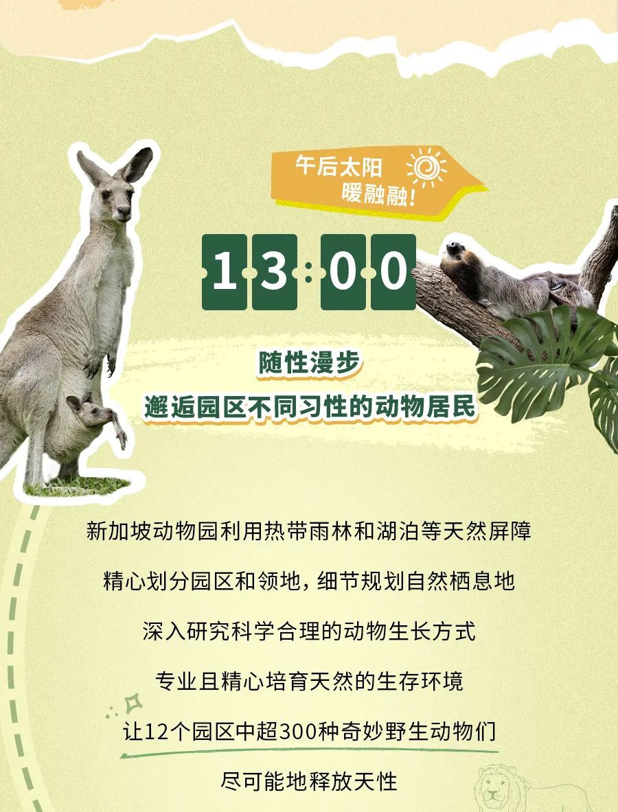 全球第三的新加坡动物园里有什么？