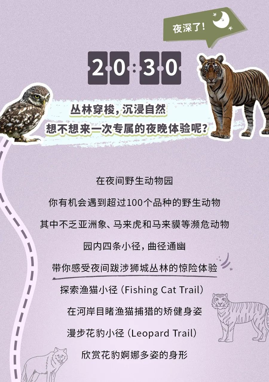 全球第三的新加坡动物园里有什么？
