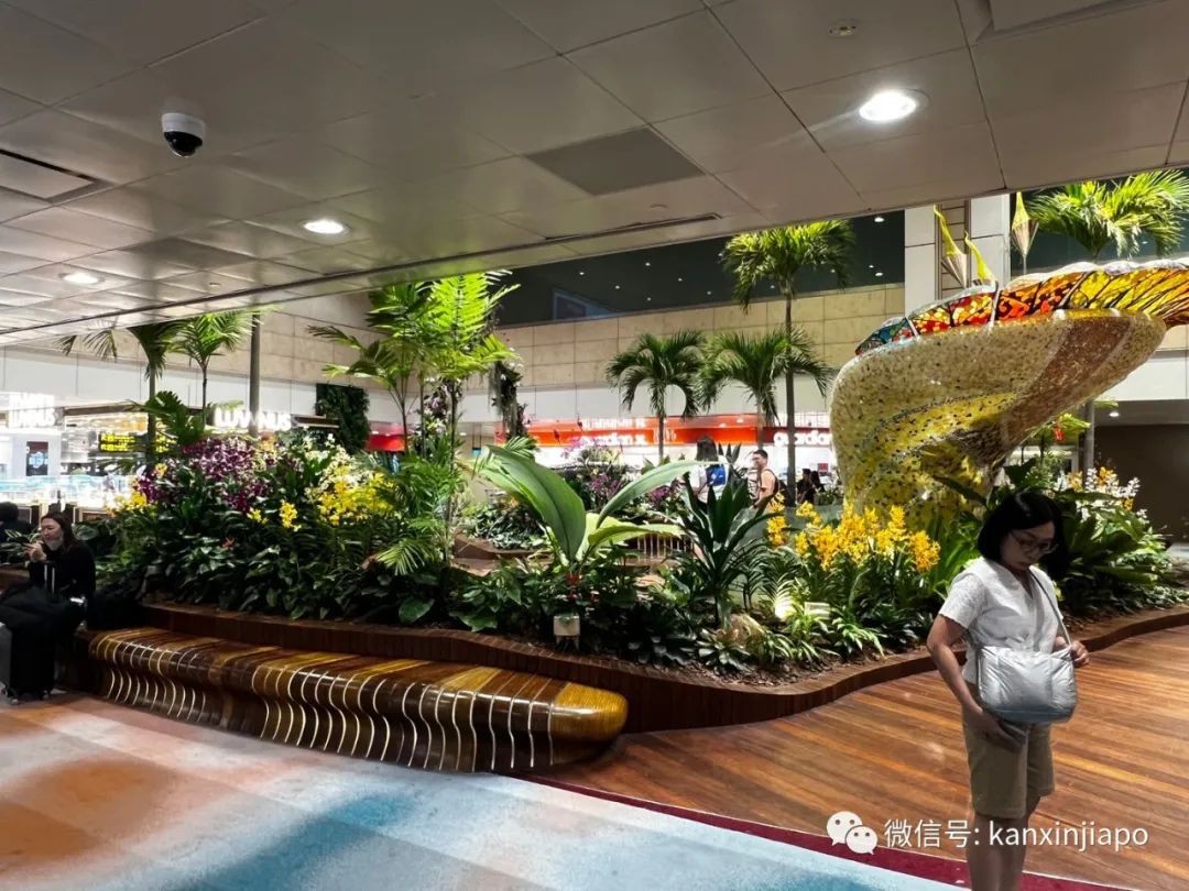 逛过樟宜机场重开的T2航站楼，才会发现的这些细节