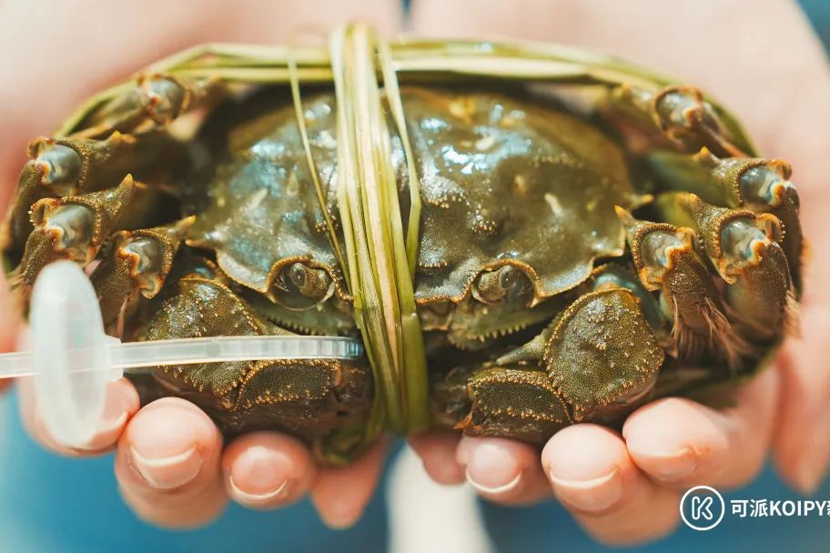在新加坡要怎样才能吃到应季的阳澄湖大闸蟹？