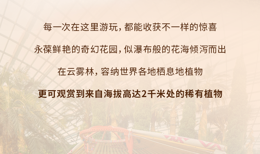 新加坡人气景点的“外号”，知道了你就是当地人