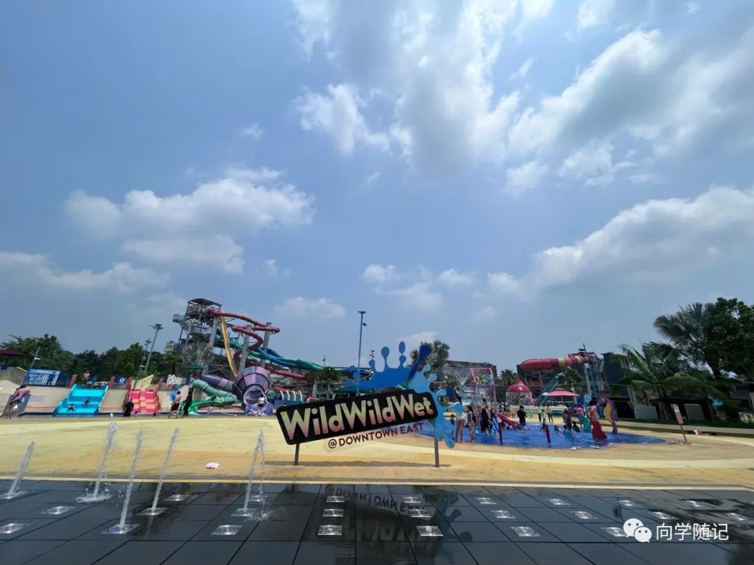 炎炎夏日,新加坡鲜为人知的水上乐园