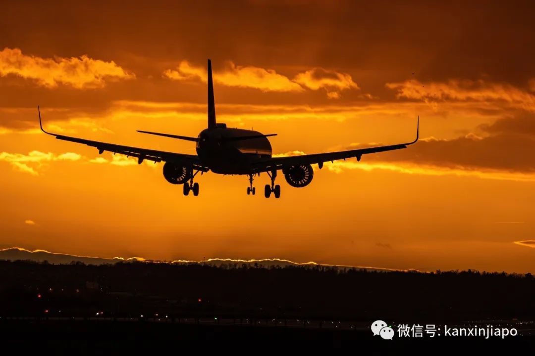韩F紫刑满将直接遣返，行李都没法拿