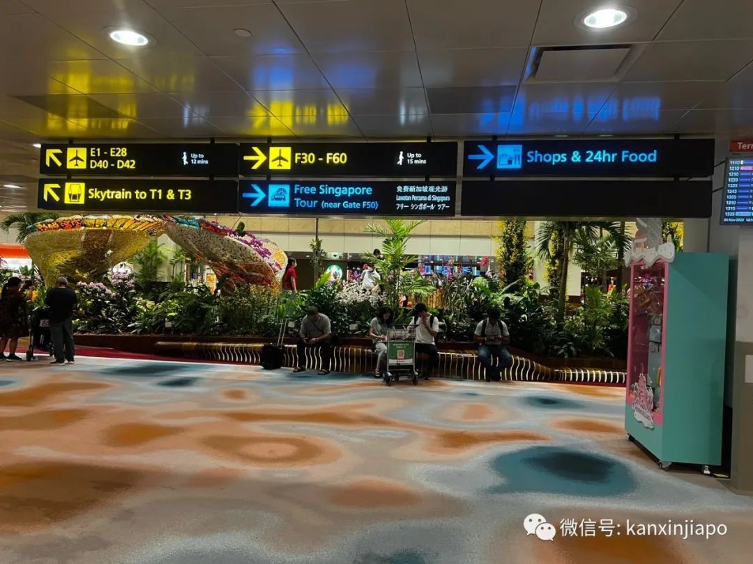 逛过樟宜机场重开的T2航站楼，才会发现的这些细节