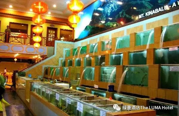 马来西亚沙巴最火的海鲜餐馆有哪些?