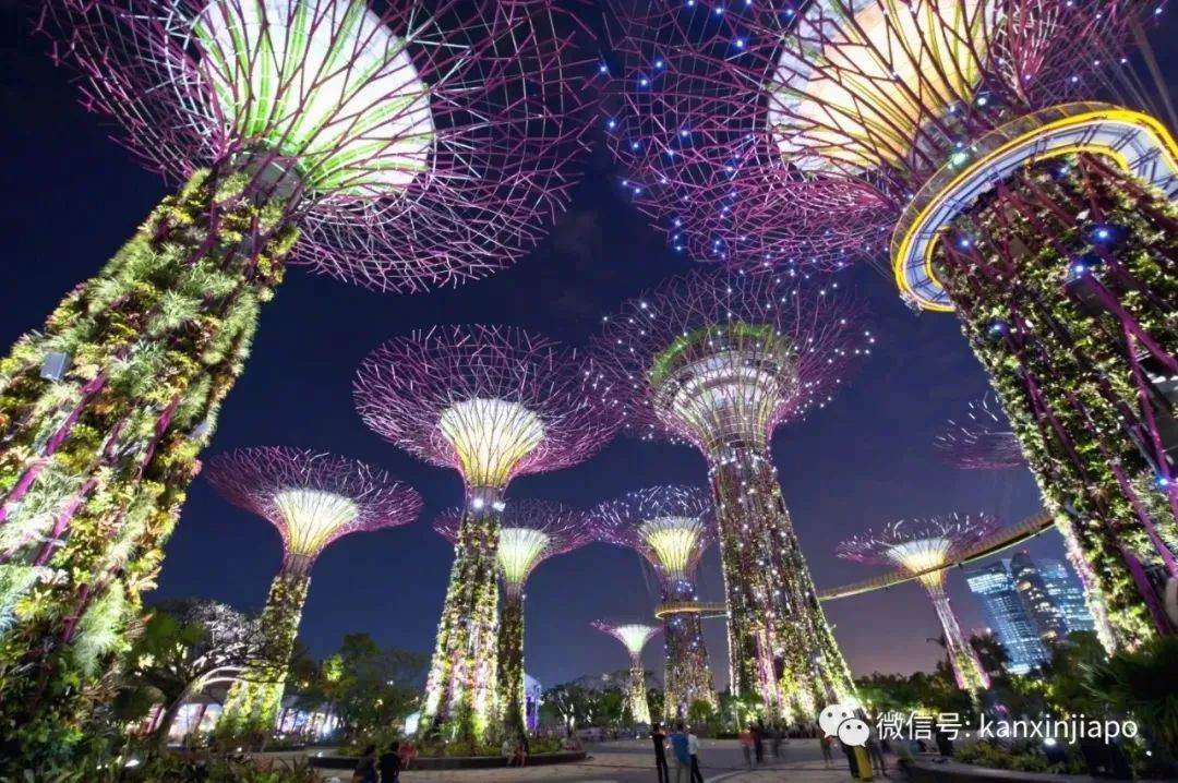 新加坡又要长大了!东海岸变“长岛”面积超滨海湾两倍