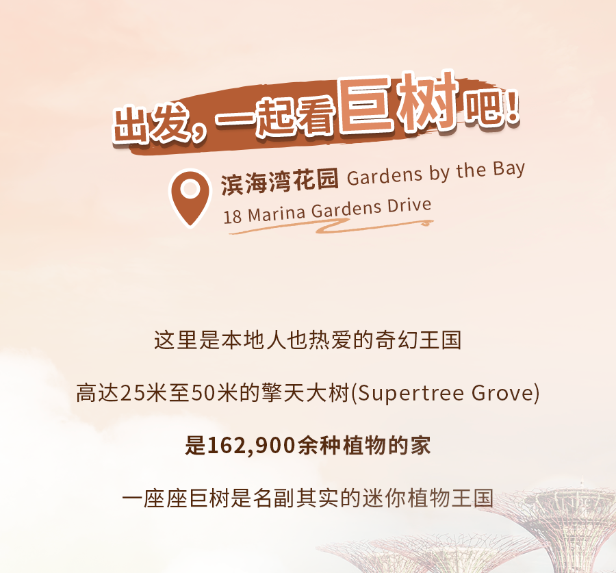 新加坡人气景点的“外号”，知道了你就是当地人