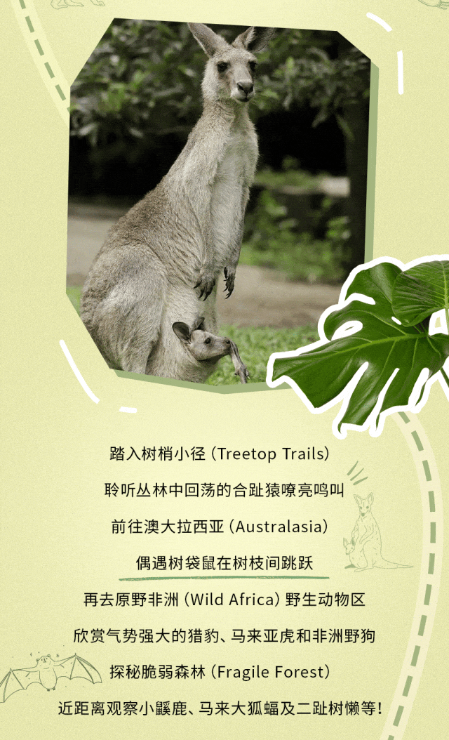 全球第三的新加坡动物园里有什么？