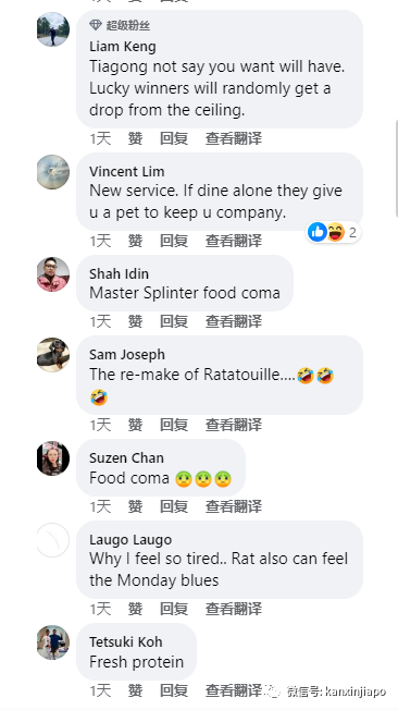 乌节路著名购物中心食阁天花板掉下老鼠,网友评论:吓死!这是要加餐吗?