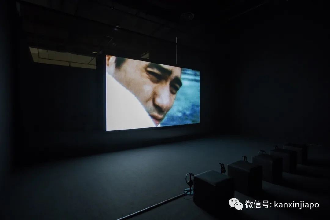 新加坡美术馆新展,以老虎的迁移讲述东南亚的编年史