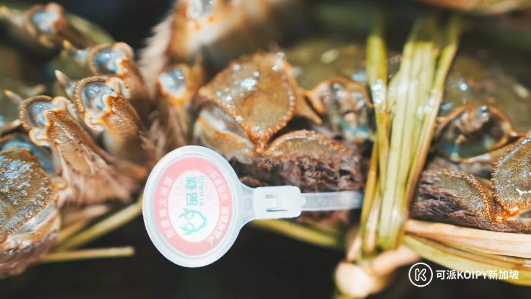 在新加坡要怎样才能吃到应季的阳澄湖大闸蟹？