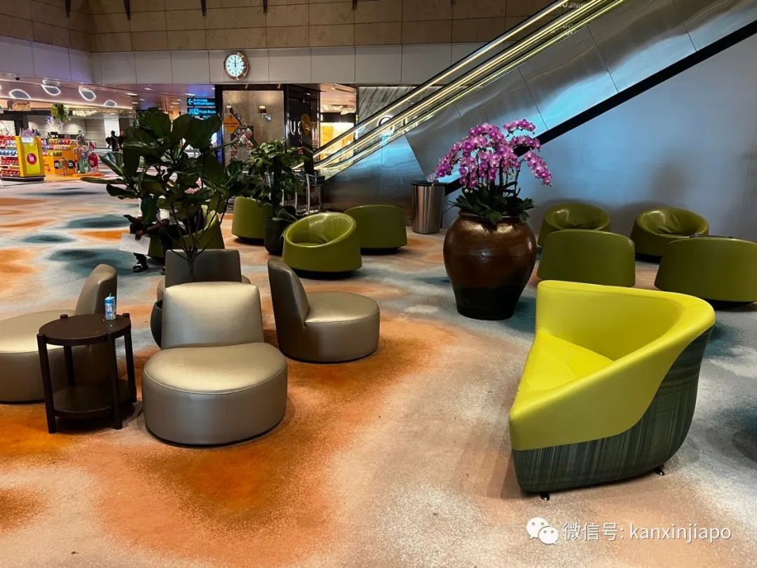 逛过樟宜机场重开的T2航站楼，才会发现的这些细节