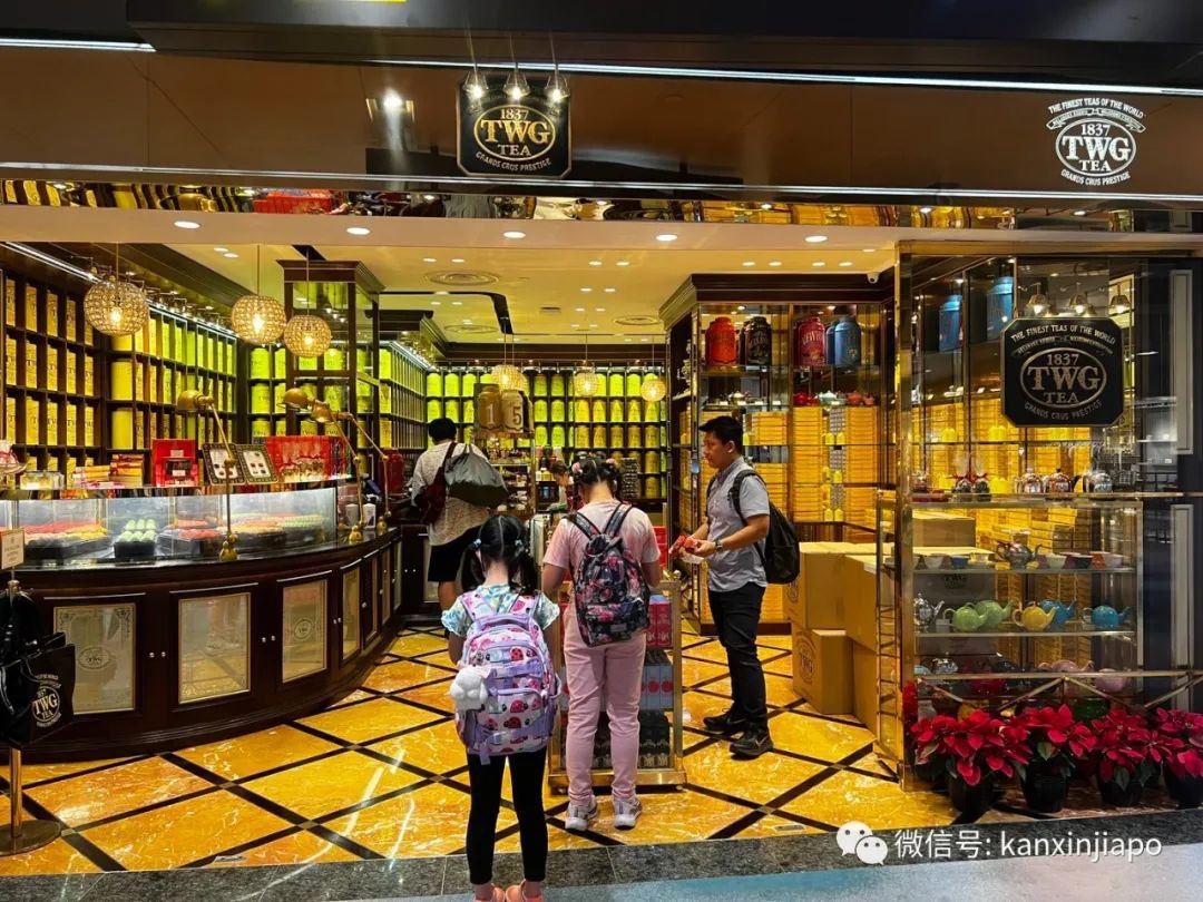 逛过樟宜机场重开的T2航站楼，才会发现的这些细节