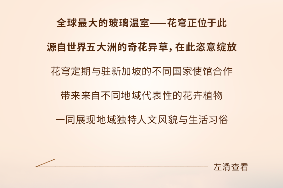 新加坡人气景点的“外号”，知道了你就是当地人