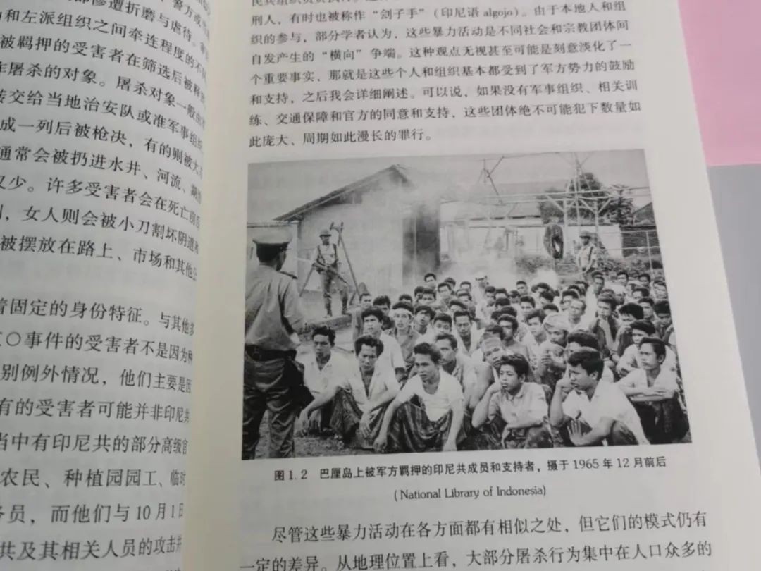 印尼政治下的牺牲品