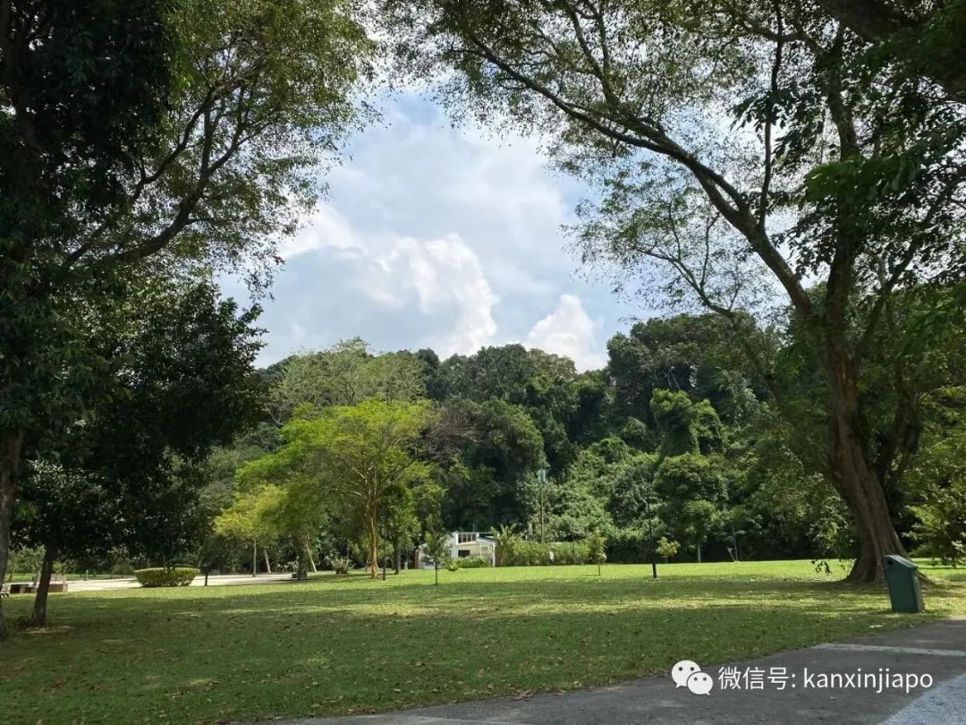 徒步拉柏多公园，远离新加坡闹市的尘嚣