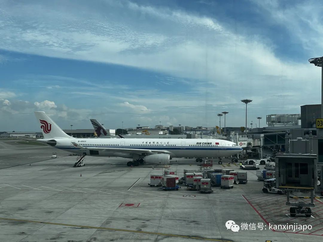 航班需求爆满!中新两国直飞航班将增加