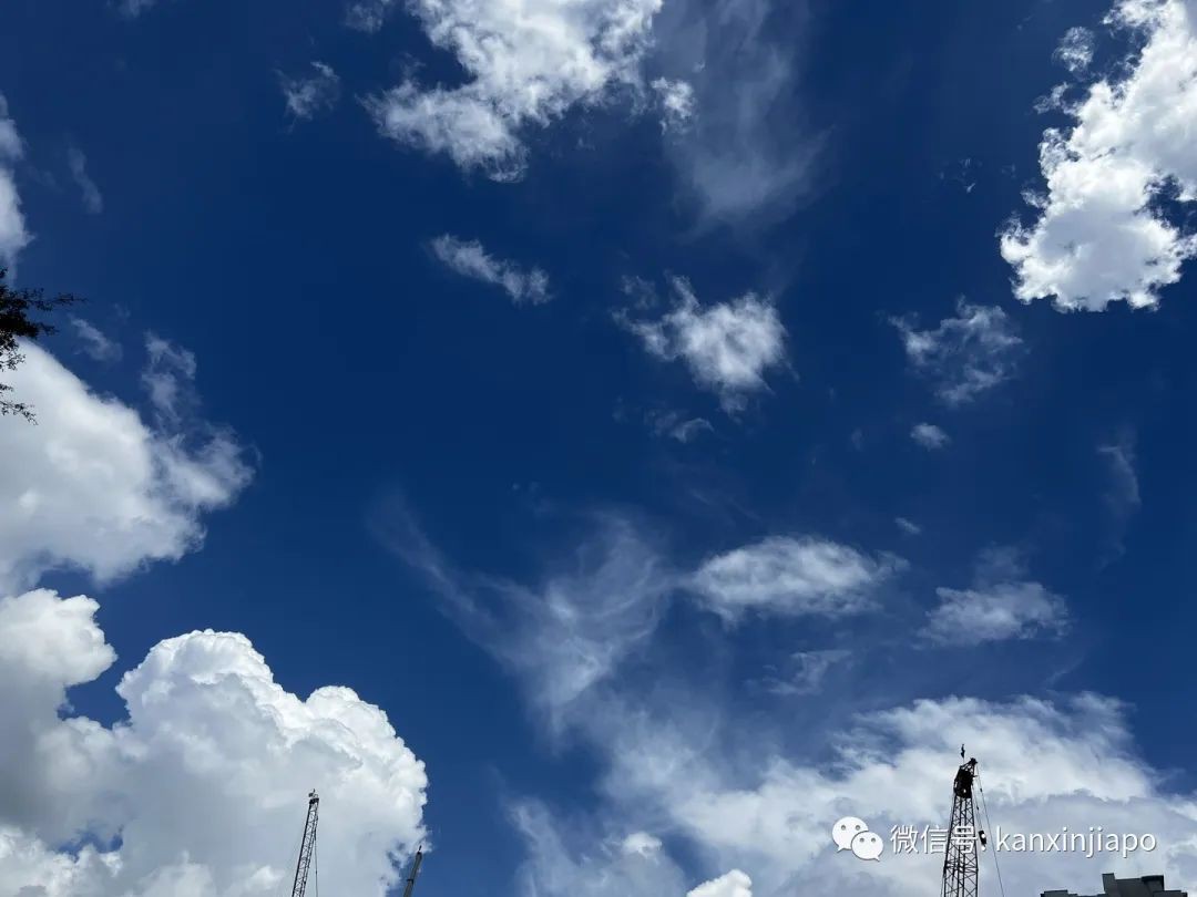 “上午晴空万里,下午疾风骤雨!”新加坡的雨已经下了半个月了,还将继续