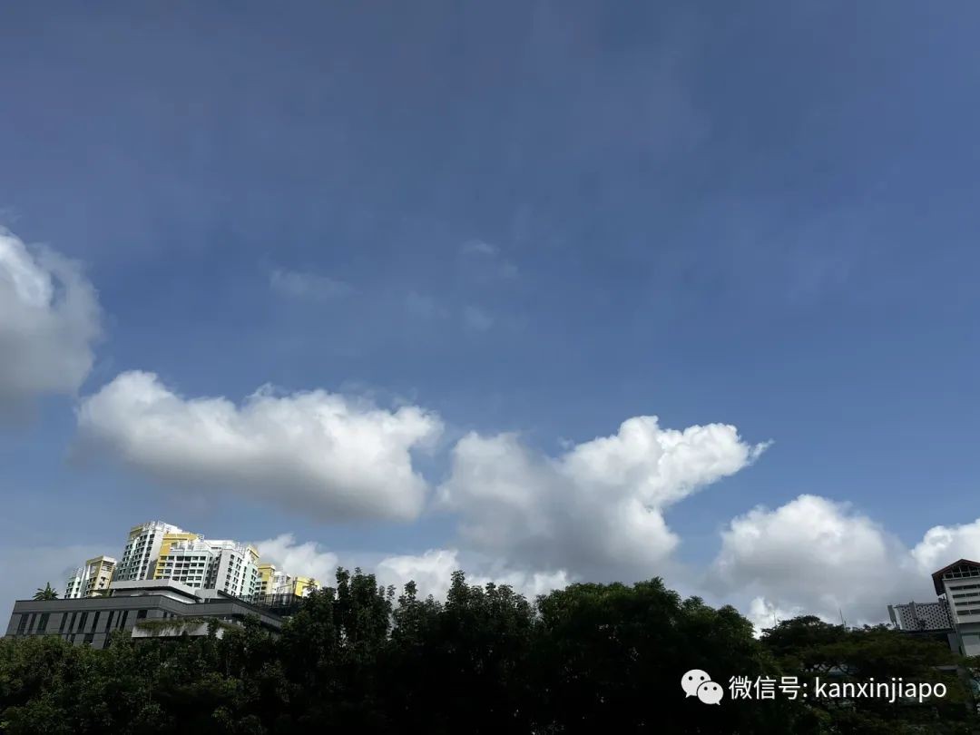 “上午晴空万里,下午疾风骤雨!”新加坡的雨已经下了半个月了,还将继续