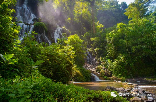 和马力欧一起“环游世界”,樟宜机场12月份活动,精彩停不下来!