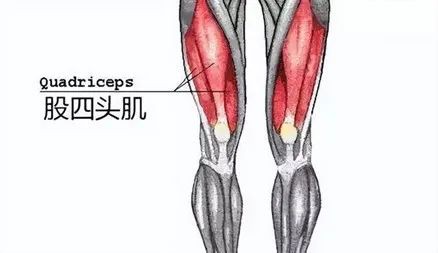 你知道吗，这些你常做的事情会导致膝盖“未老先衰”